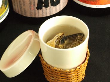 酒菜や さかなや 味の店のおすすめ料理1