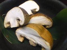 料理メニュー写真 人参/白菜/水菜/白ねぎ