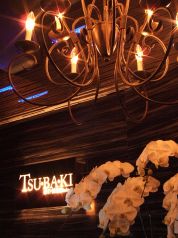 ツバキ TSU BA KI 椿 横浜西口店の雰囲気1