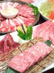 南光園 琴似店