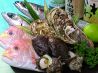 酎ぼう肴菜のおすすめポイント1