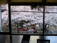 高瀬川が見えるお部屋
