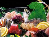さかな市場 サンライフ1号館店のおすすめ料理2