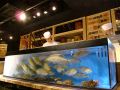 兵庫　海心丸 三宮店の雰囲気