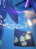 ダイバーズダイニングの雰囲気3