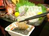 旬菜 うづきのおすすめポイント2