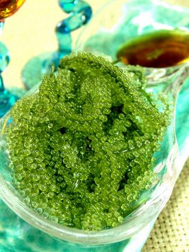 千葉 沖縄料理 ゆいまーる 美ら島のおすすめ料理1