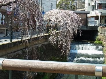 山木茶屋の雰囲気1