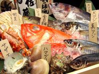 鮮度自慢の魚介がズラリ！
