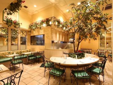 マイアミ パティオ Miami Patio 小田急エースの雰囲気1