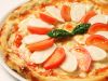 マイアミ パティオ Miami Patio 小田急エースの写真