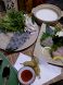 季節感のある料理