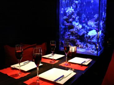 銀座 宙sora プランタン銀座並木通り店の雰囲気メイン