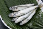 天ぷら 天風のおすすめ料理3