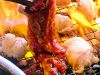 ホルモンキッチン 北方店 !壷漬け焼肉の写真