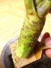 食楽 和錆のおすすめポイント1