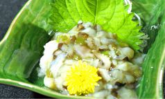 料理メニュー写真&nbsp;たこわさ