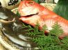 横濱魚萬 よこはまうおまん 横浜西口南幸店のおすすめポイント2