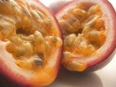 草木土 オーガニック レストランのおすすめ料理2