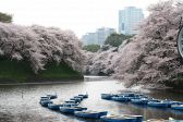 レストラン セン