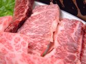 将軍 炭火焼肉のおすすめ料理サブ2