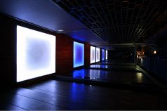 美色情緒個室DINING 栞 SHIORI 渋谷駅前店の雰囲気1