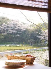 トラットリアカプリッチョ TRATTORIA Capriccioの雰囲気3