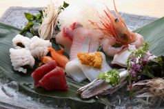 料理メニュー写真 旬の刺盛り
