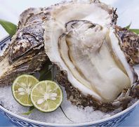 今が『旬』の魚介を是非！