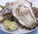 今が『旬』の魚介を是非!