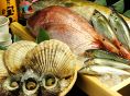 新鮮な海鮮を堪能してね★