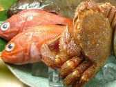 寿司 煮魚 かめ吉のおすすめ料理2