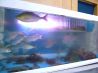 四季旬菜 魚家 びせんのおすすめポイント2