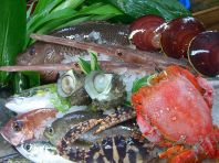 天然のお魚