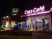 キャッツカフェ 静岡浜松店の雰囲気3
