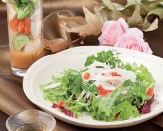 料理メニュー写真&nbsp;10種野菜のサラダ～オーガニックドレッシング添え～