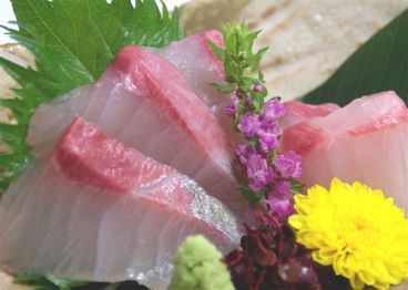 玉金 たまきん 亀戸店のおすすめ料理1