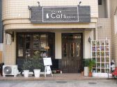 カフェ食堂 キャッツ Cats