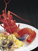 三重　海席たみやの写真