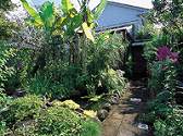 千葉　Cafe sariの写真
