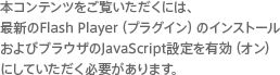 本コンテンツをご覧いただくには、最新のFlash Player（プラグイン）のインストールおよびブラウザのJavaScript設定を有効（オン）にしていただく必要があります。