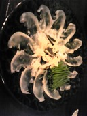 ふぐ居酒屋 おお田のおすすめレポート画像1
