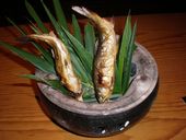 燦 OBPのおすすめレポート画像1
