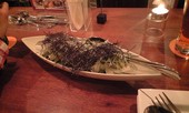 春庭のおすすめレポート画像1