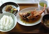 D&DEPARTMENT &nbsp;DINING &nbsp;SHIZUOKAのおすすめレポート画像1
