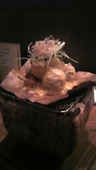 ダイニング DINING ゆず屋のおすすめレポート画像2