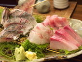 海ぶね 藤沢店のおすすめレポート画像2