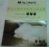 猫の居る休憩所299 にくきゅう 猫カフェのおすすめレポート画像1