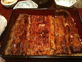 うなぎ割烹 大江戸のおすすめレポート画像1