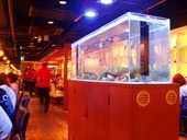 カフェ ビィティティ B.T.Tのおすすめレポート画像1